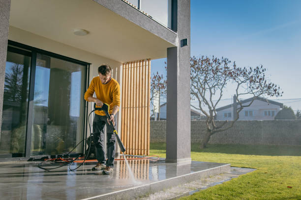 Best Pre-Holiday Cleaning  in Sto Brook, NY